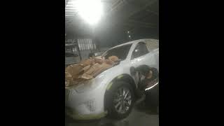 Mazda CX5 cat full bodyXeralic gold white Black dop combination color polish process [upl. by Siryt]