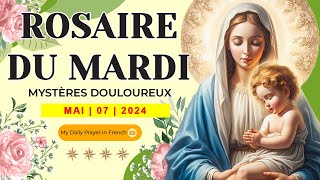 ROSAIRE DE GUÉRISON MYSTÈRES DOULOUREUX ROSAIRE DU MARDI🌹07 MAI 2024 🙏🏻 PÈLERINAGE SPIRITUEL [upl. by Nylorac]