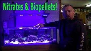 Nitrates amp Biopellets [upl. by Edmonds248]