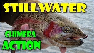 Stillwater fly fishing action with the Chimera fly pattern [upl. by Eisak877]