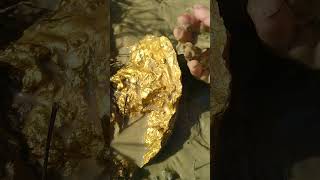 Giant gold found goldhunter golddiscovery [upl. by Marieann]