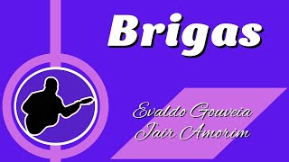 BRIGAS  Evaldo GouveiaJair Amorim Cover [upl. by Nollad]