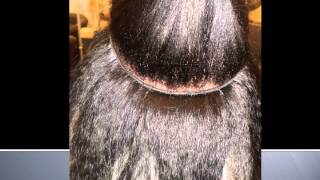 Malaysian weave at Dominican Hair Salon [upl. by Kramal]