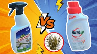 Weed Killer Showdown Vinegar Vs Roundup [upl. by Thaddeus377]