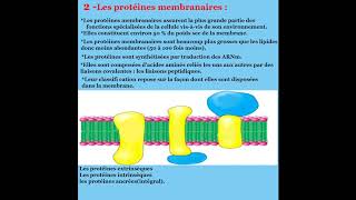 Cours de Biologie cellulaire  membrane plasmique [upl. by Aerol]