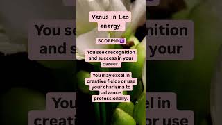 SCORPIO ♏️  Venus transit in Leo astrology tarotary scorpio [upl. by Anon]