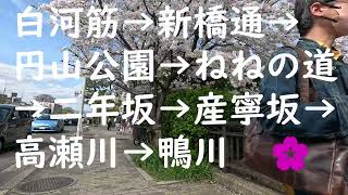 京都（桜の季節） 白川筋→円山公園→ねねの道→二年坂→産寧坂→高瀬川→鴨川 [upl. by Marden]