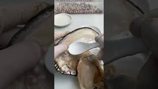 The Art of Pearl Extraction Tips and Techniques for Opening Oysters oysters pearloysters [upl. by Ainesej]