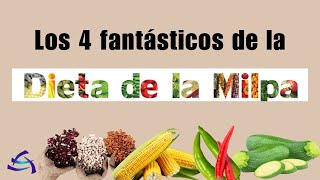 DIETA DE LA MILPA los 4 fantásticos de la dieta de la milpa [upl. by Burford]