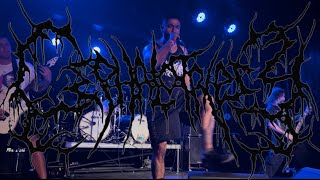 Cephalotripsy  Full Set Live in Las Vegas NV 10072022 Monsters of Brutality Fest [upl. by Euqinehs552]