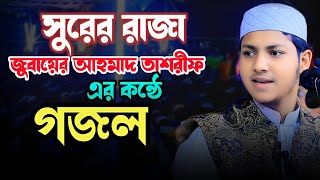 সুরের রাজার কন্ঠে গজল  Jubayer Ahmad Tasrif  জুবায়ের আহমাদ তাশরীফ নতুন গজল  New Gojol 2024 [upl. by Gosnell]