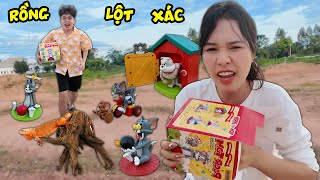 Bạn Rồng Đỏ Đã Lớn Biết Lột Xác và Bộ mô hình mèo đuổi chuột Tom và Jerry tuổi thơ [upl. by Aihsemat]