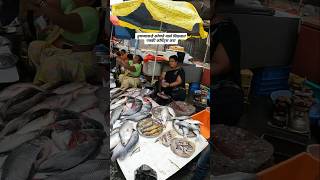 Uran fish market  navi mumbai  panvel viralvideo panvel fishmarket shorts [upl. by Ocinom]