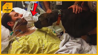 Family Brings Dog To Say Goodbye To Owner In A Coma Dog’s Reaction Is [upl. by Llenahc]