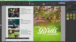 Generatively Expand Images in InDesign [upl. by Threlkeld284]