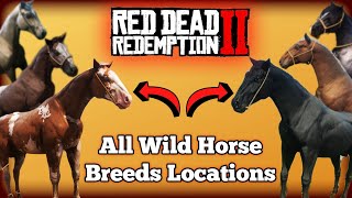 All Wild Horse Breed Locations in Red Dead Redemption 2 [upl. by Kester]