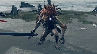 Elden Ring  Leonine Misbegotten Boss Fight [upl. by Blank]