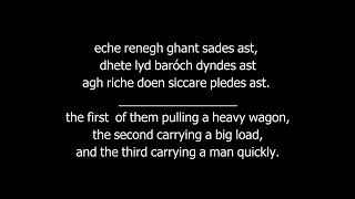 Conlang Cenegea  Sample 2  Schleichers fable [upl. by Nosrettap245]