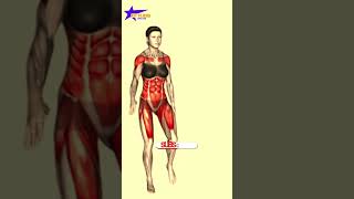 ➜ Beginner Cellulite Workout ➜ Lose Cellulite Fast in 3 Weeks legfat [upl. by Ataeb]