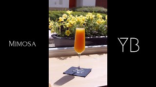 Mimosa  koktejl ke snídani a lék na kocovinu  Yalla bar Shorts [upl. by Annamarie]