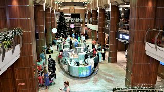 Royal Caribbean Odyssey of the Seas Inside  Indoor Narrated Walking Tour Royal Esplanade [upl. by Sateia]