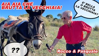 Che brutta la vecchiaia  Rocco amp Pasquale [upl. by Hgielrebmik]