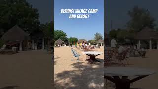 Bishnoi Village Camp And Resort reels Bishnoi Village Camp And Resort  youtube shorts  Shorts [upl. by Ayat]