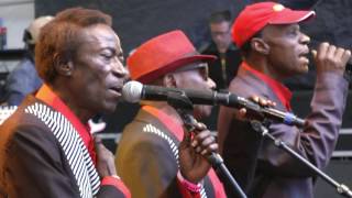 Orchestre Les Mangelepa  Mimba  LIVE at Afrikafestival Hertme 2016 [upl. by Theis]