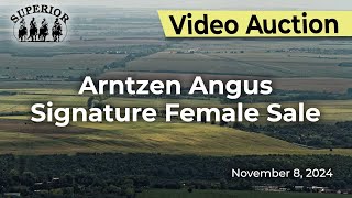 Arntzen Angus Annual Signature Female Sale [upl. by Pals]