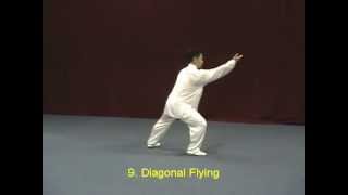 Tai Chi Yang Style 40 demonstration [upl. by Adnoral]