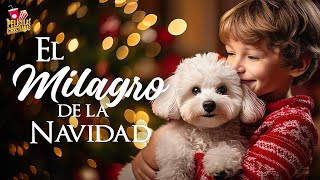 El milagro de la Navidad  Película Cristiana [upl. by Rothstein726]