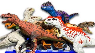 GIANT Jurassic World Carnivores Collection Biggest T Rex I Rex Spinosaurus Allosaurus Dinosaurs [upl. by Merla]