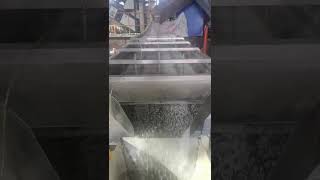 Vibrating screen for PET bottle flakes [upl. by Ahsiemac]