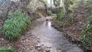 small stream with a dam [upl. by Klara]