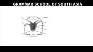 Oxford Secondary Science Book 2 Answers Ch 2 3 ALA [upl. by Nnaeitak919]