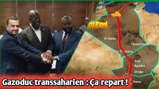 Gazoduc transsaharien Algérie Niger  Ça repart [upl. by O'Connor]