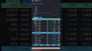 How to Use the htop Command on Linux shorts [upl. by Norrag]