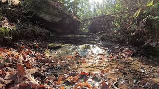 Free flowing water background sights and sounds Swamp to mountain views [upl. by Airdnaid313]