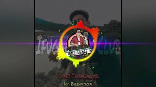 Margarita Remix Balse  Dj Brentson Remix  Ifugao Mix Club DJs [upl. by Eciralc389]