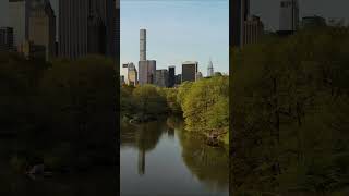 Drone Central Park New York City [upl. by Walford117]