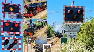 Level Crossings amp Trains on the Romney Hythe amp Dymchurch Railway May 2022 95th Anniversary Gala [upl. by Fania649]