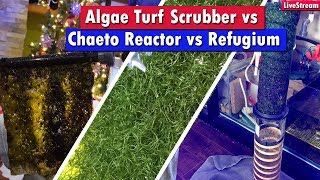 Algae Turf Scrubber Vs Chaeto Reactor Vs Refugium  Which nutrient export system is best for you [upl. by Ereynihc732]