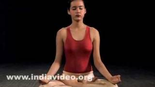 Yoga asanas for beginners  Padmasana the basic posture [upl. by Nerrawed]