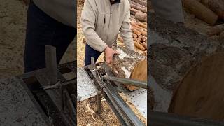 🌳Birch🌳is the best👍tree for firewood🪵 firewood woodworking splitter woodcutter [upl. by Roybn]