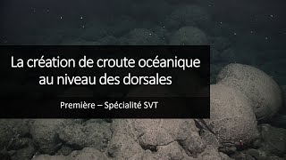 Cours Spé SVT 1eres  La création de la croute océanique au niveau des dorsales [upl. by Lednek]