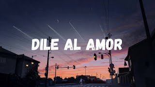 Aventura  DILE AL AMOR LetraLyrics [upl. by Erreip]