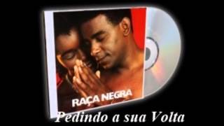 Pedindo sua Volta  Raça Negra [upl. by Emylee]