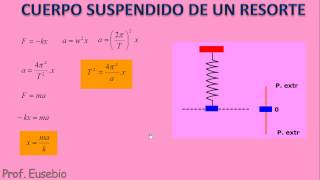 Movimiento Armónico Simple  Sistema cuerpo resorte [upl. by Bouzoun210]