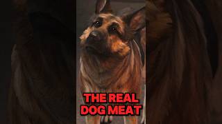 The REAL DogMeat  Fallout 4 [upl. by Debo414]