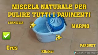 MISCELA NATURALE PER PULIRE TUTTI I PAVIMENTI✅️🔝pavimento cleaning cleaninghacks cleanwithme [upl. by Rumilly]